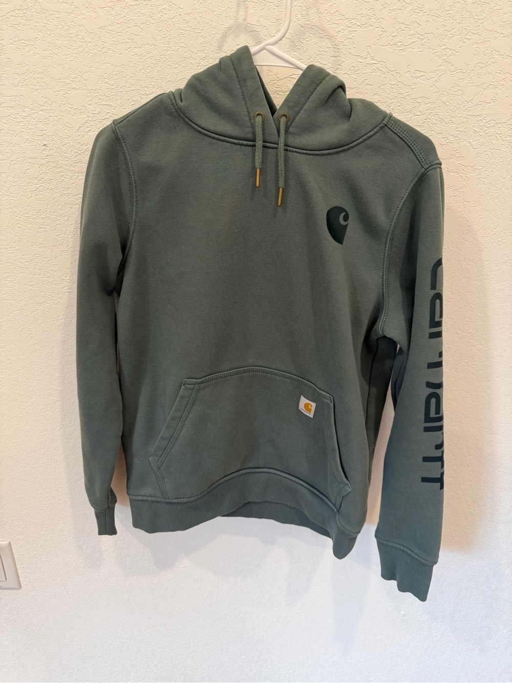 Carhartt Hooded Pullover Sweatshirt in Olive/Teal